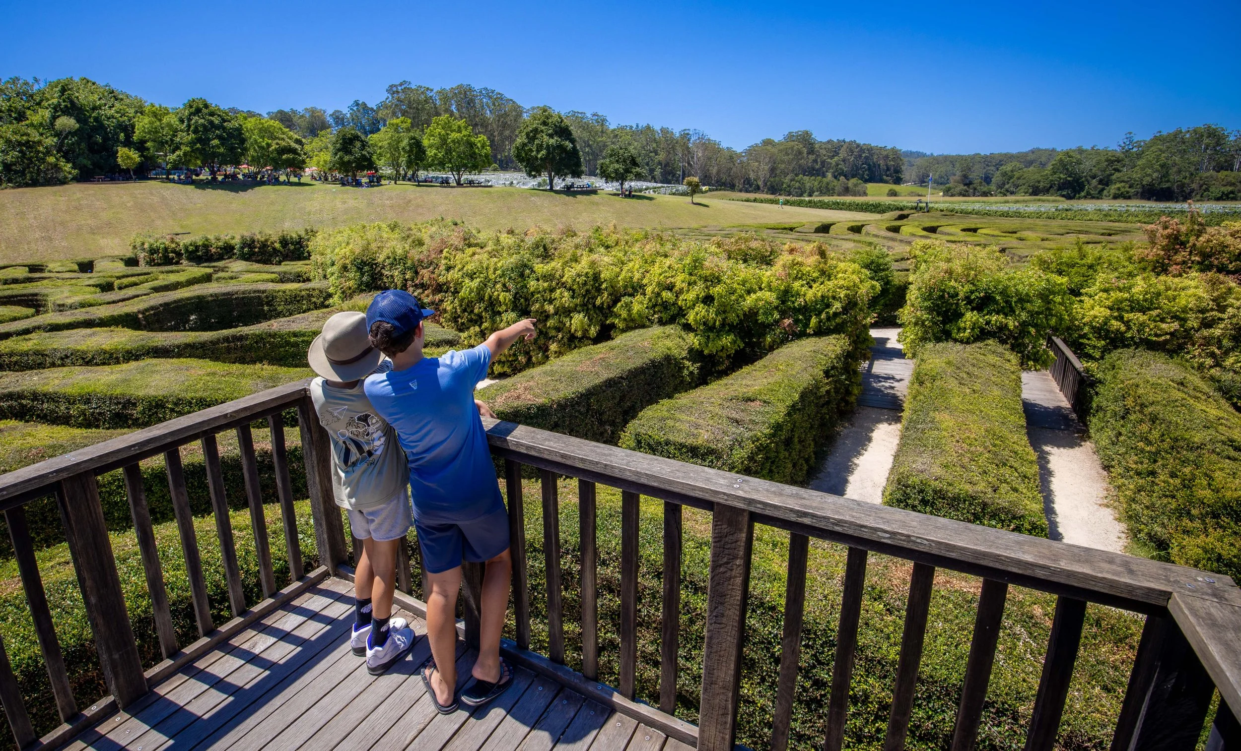 Bago Maze Lookout view