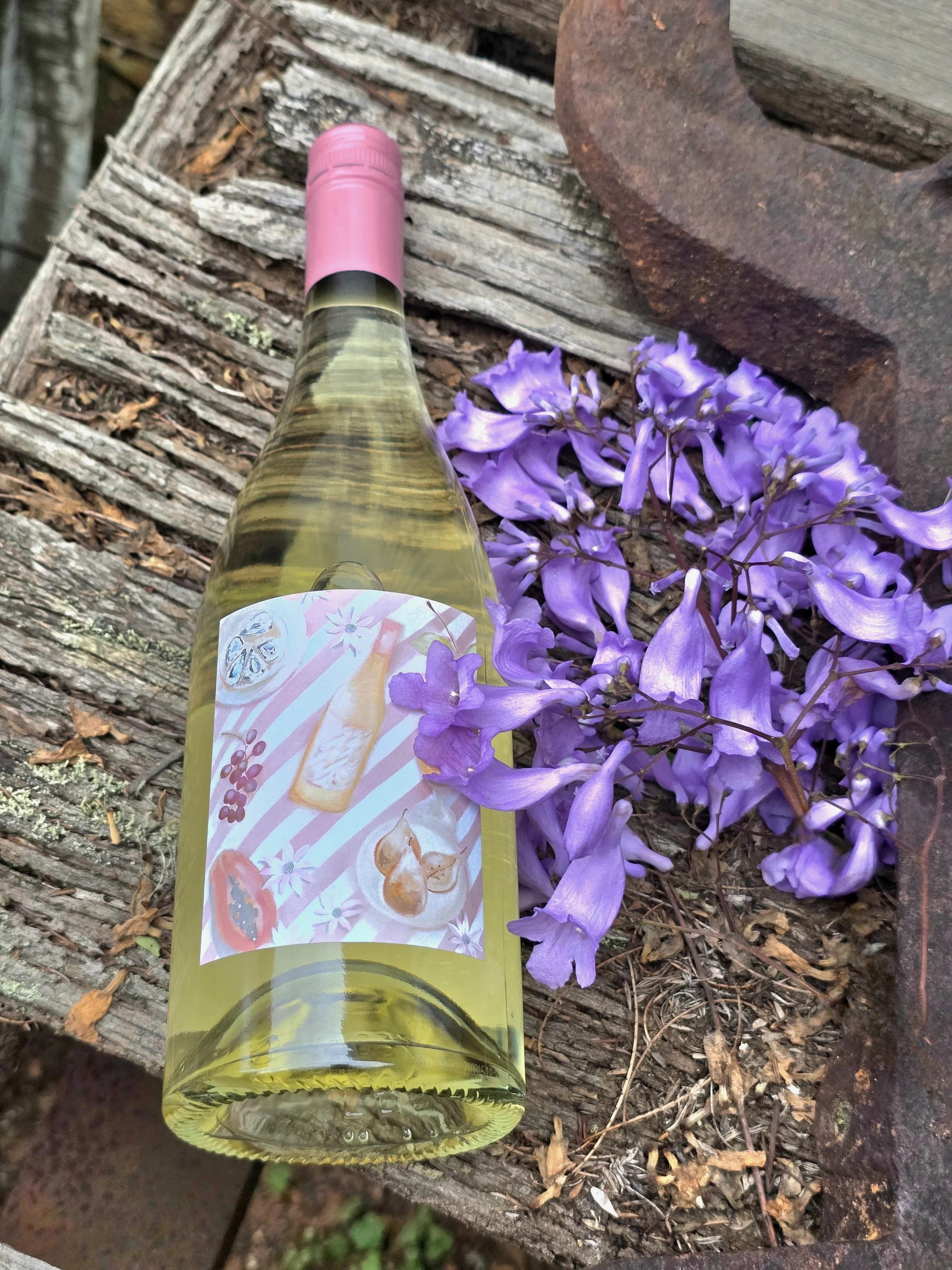 slightly savvy 2.jpg