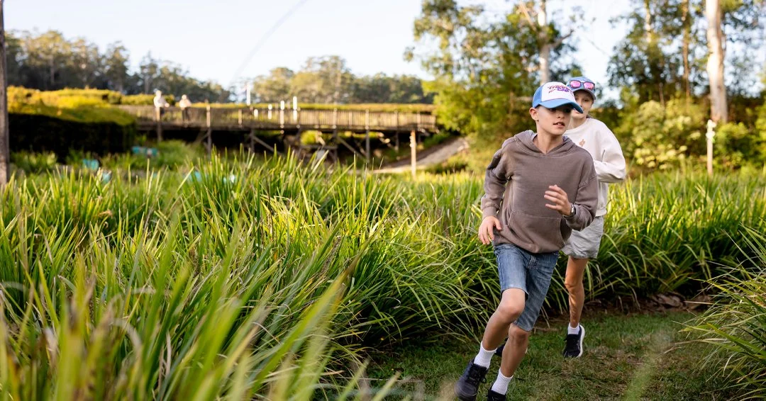 Bago Racing Maze
