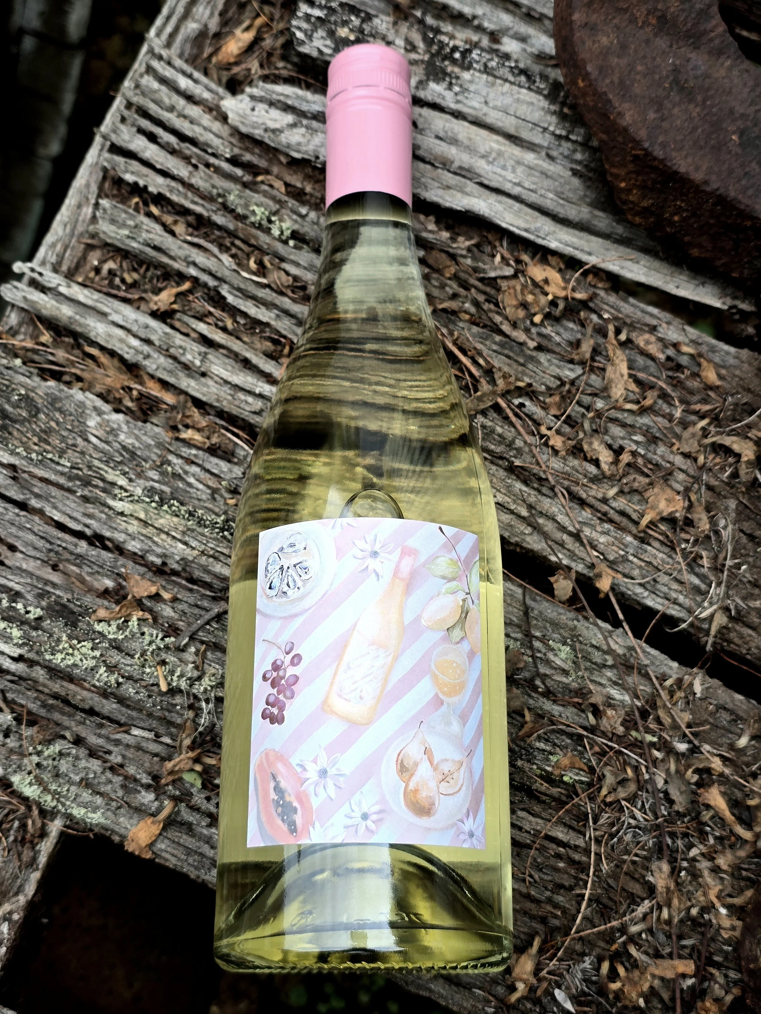 slightly savvy 3.jpg