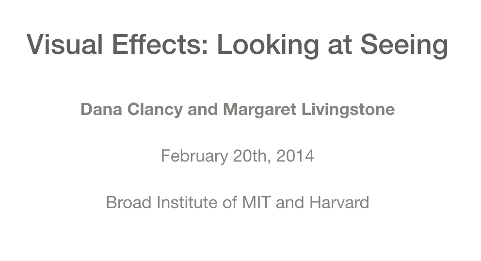 Visual Effects: Looking at Seeing