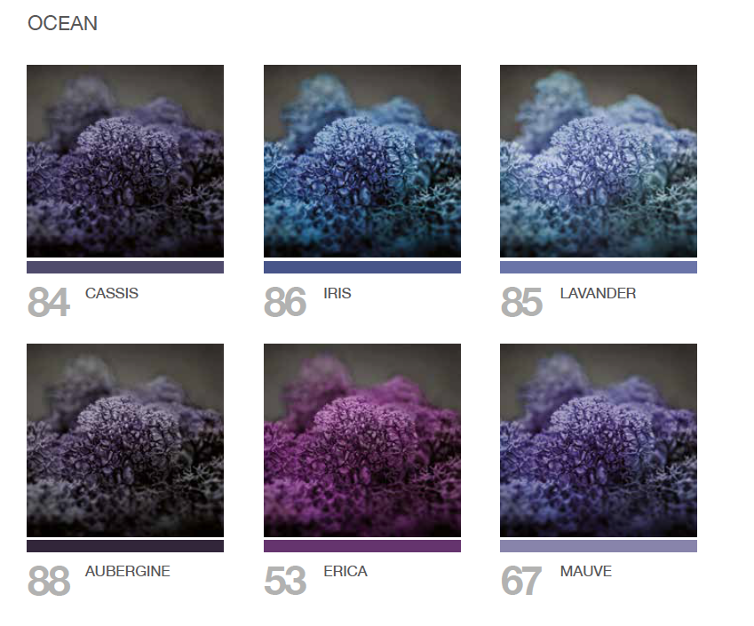 MOSSwall Colours and Finishes - OCEAN.png