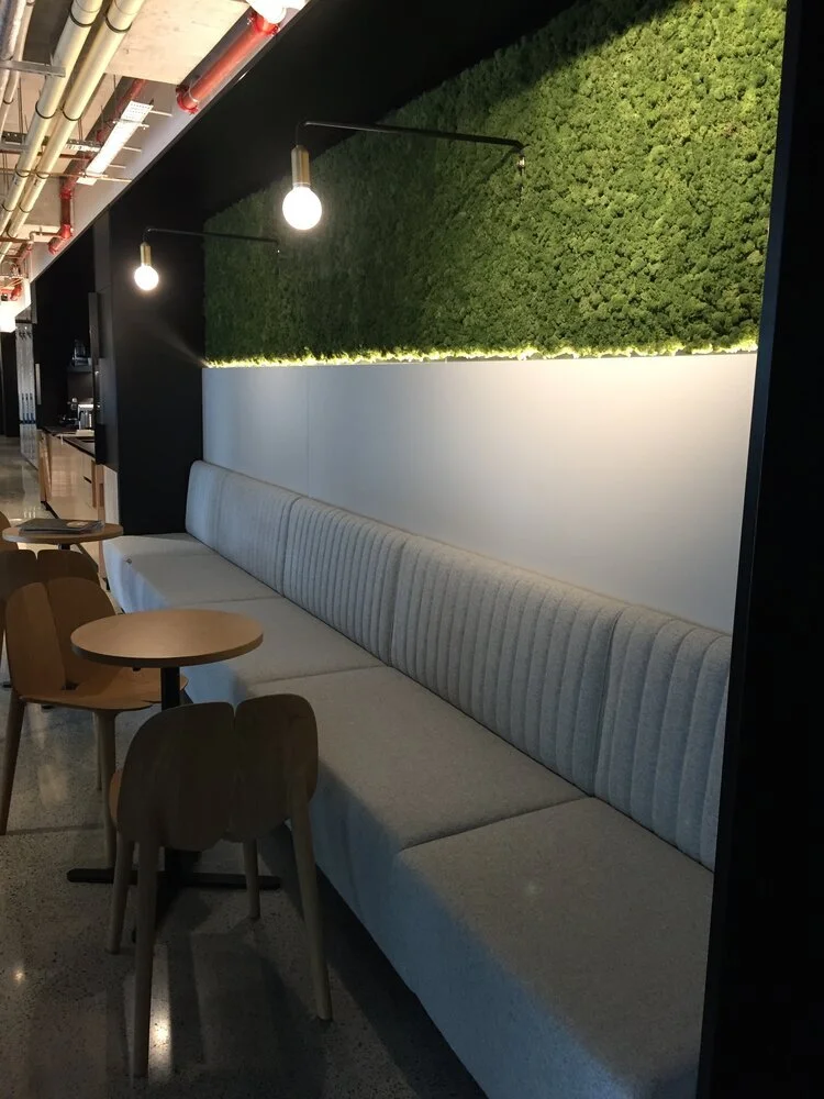 MOSSwall flexi on wall | pitchacoustics.com.au .jpeg