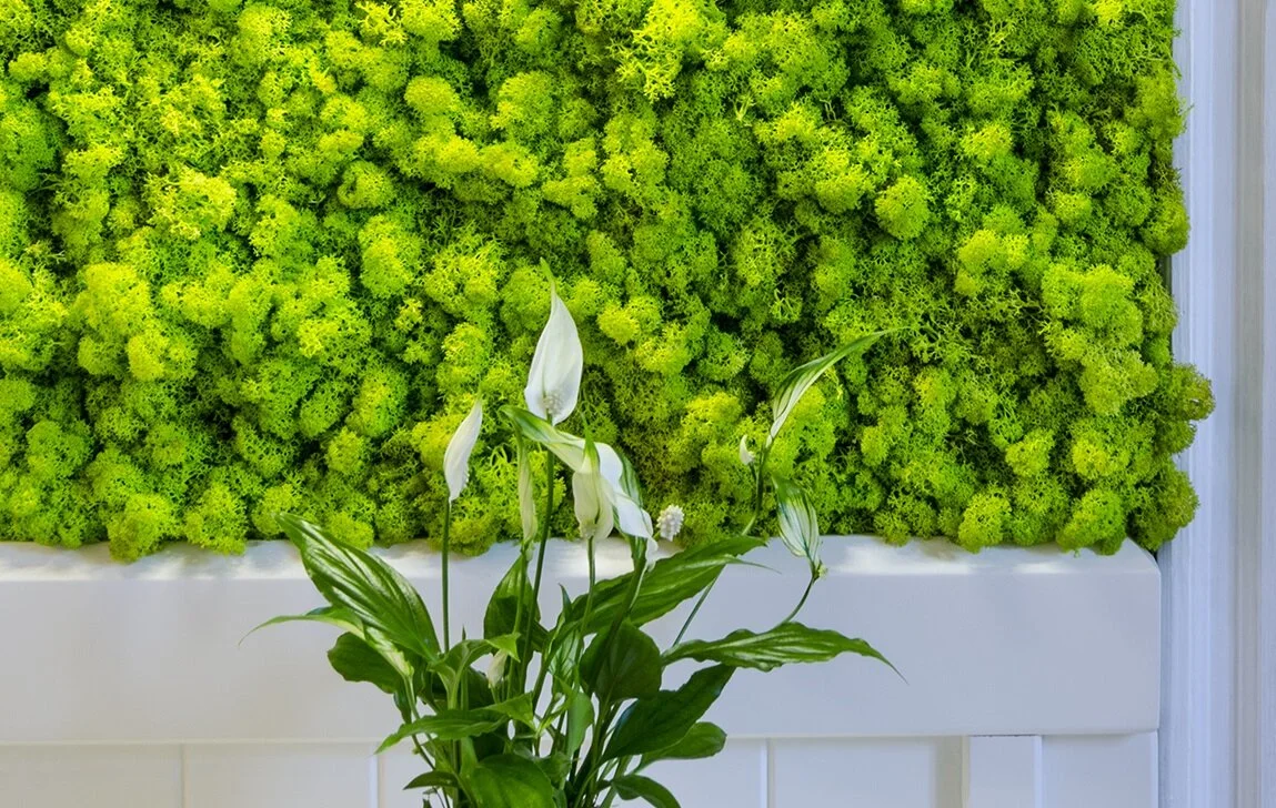 MOSSwall® Technical Data