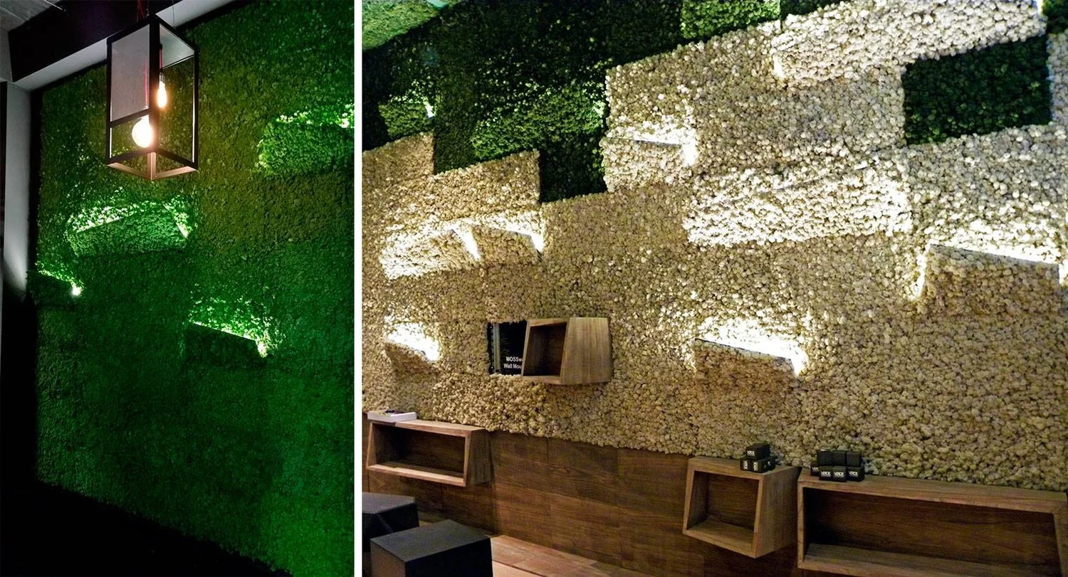 MOSSwall nemus applique and nemus pensile | pitchacoustics.com.au .jpg