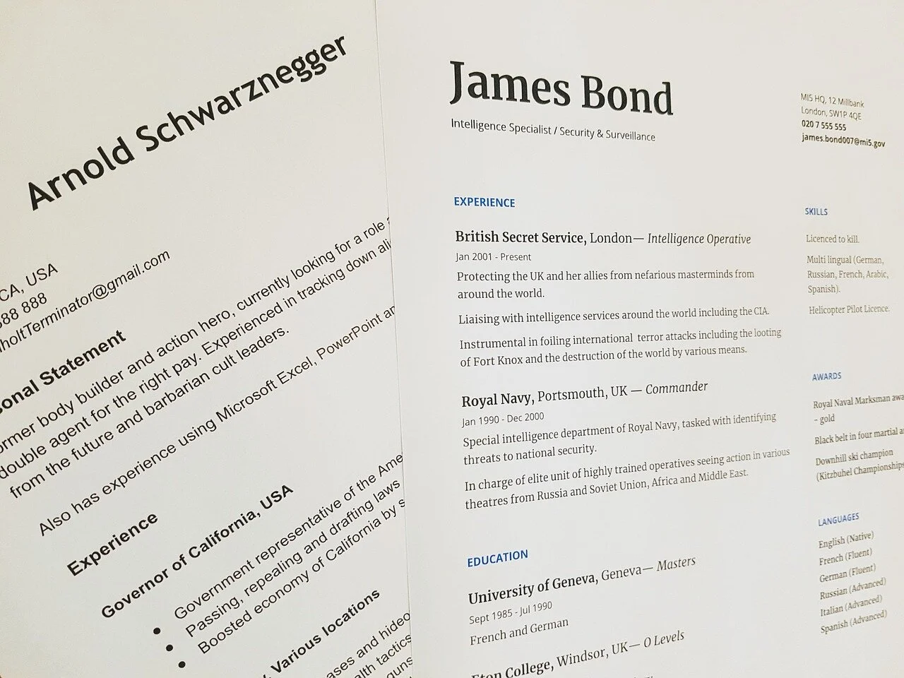 10 Printed Resumes w/ folder