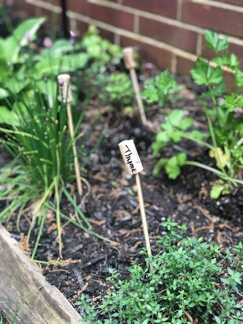 My mom’s herb garden: Fresh thyme, sage, chives, oregano, and basil. I used fresh basil and oregano in this recipe! But you can use dried if that’s all you have.