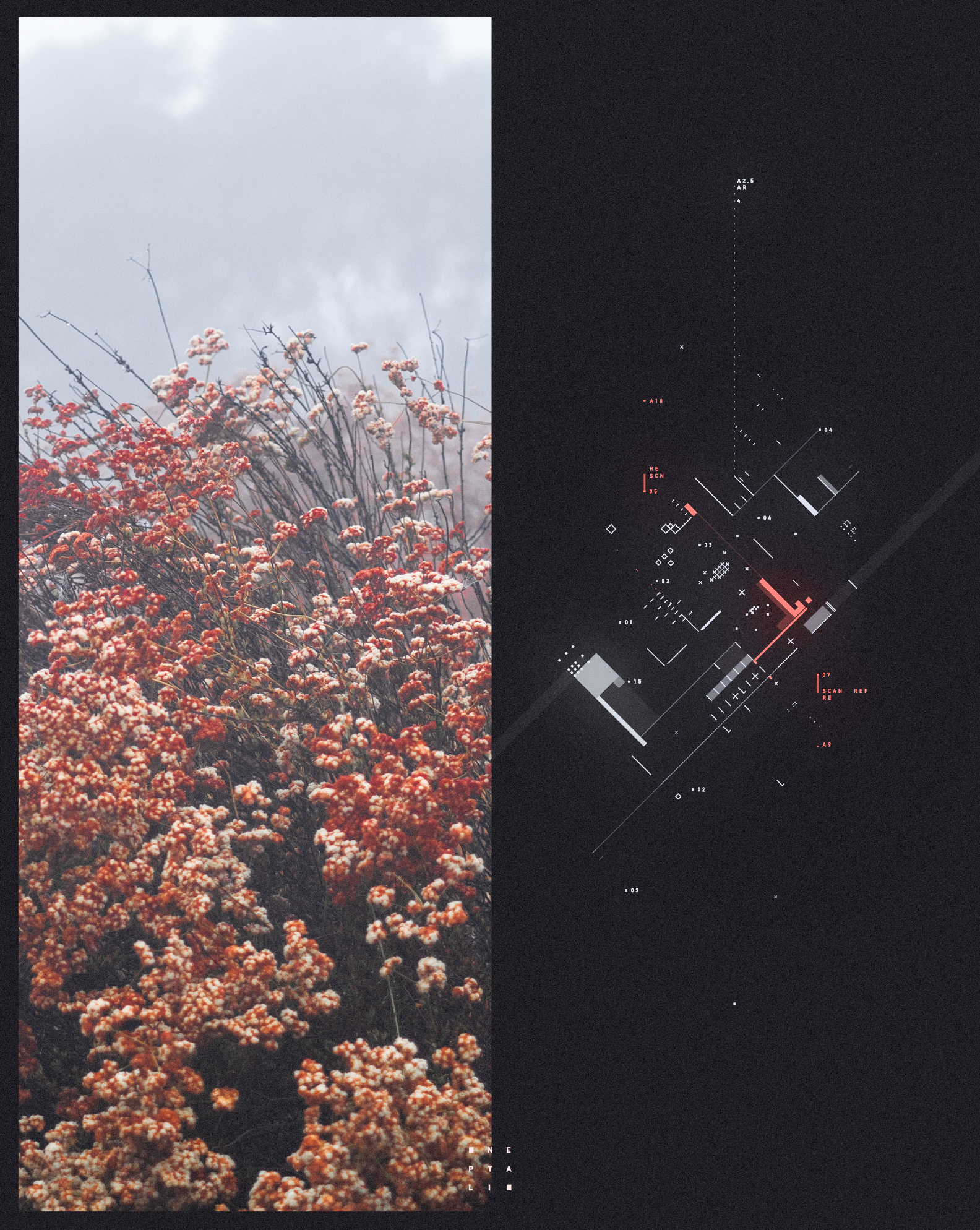 UI_photo_10_Neptali.png