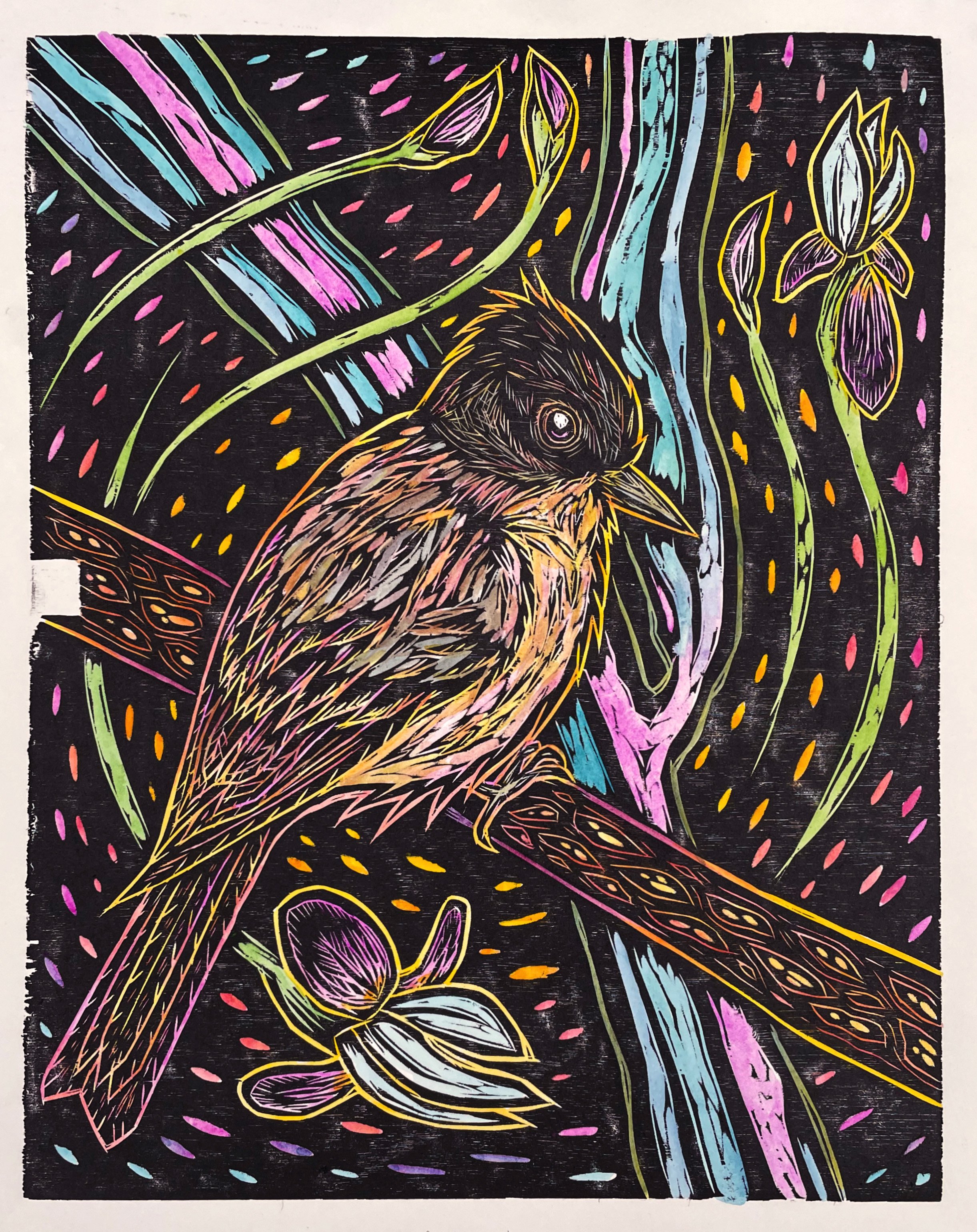 Collector & River Irises