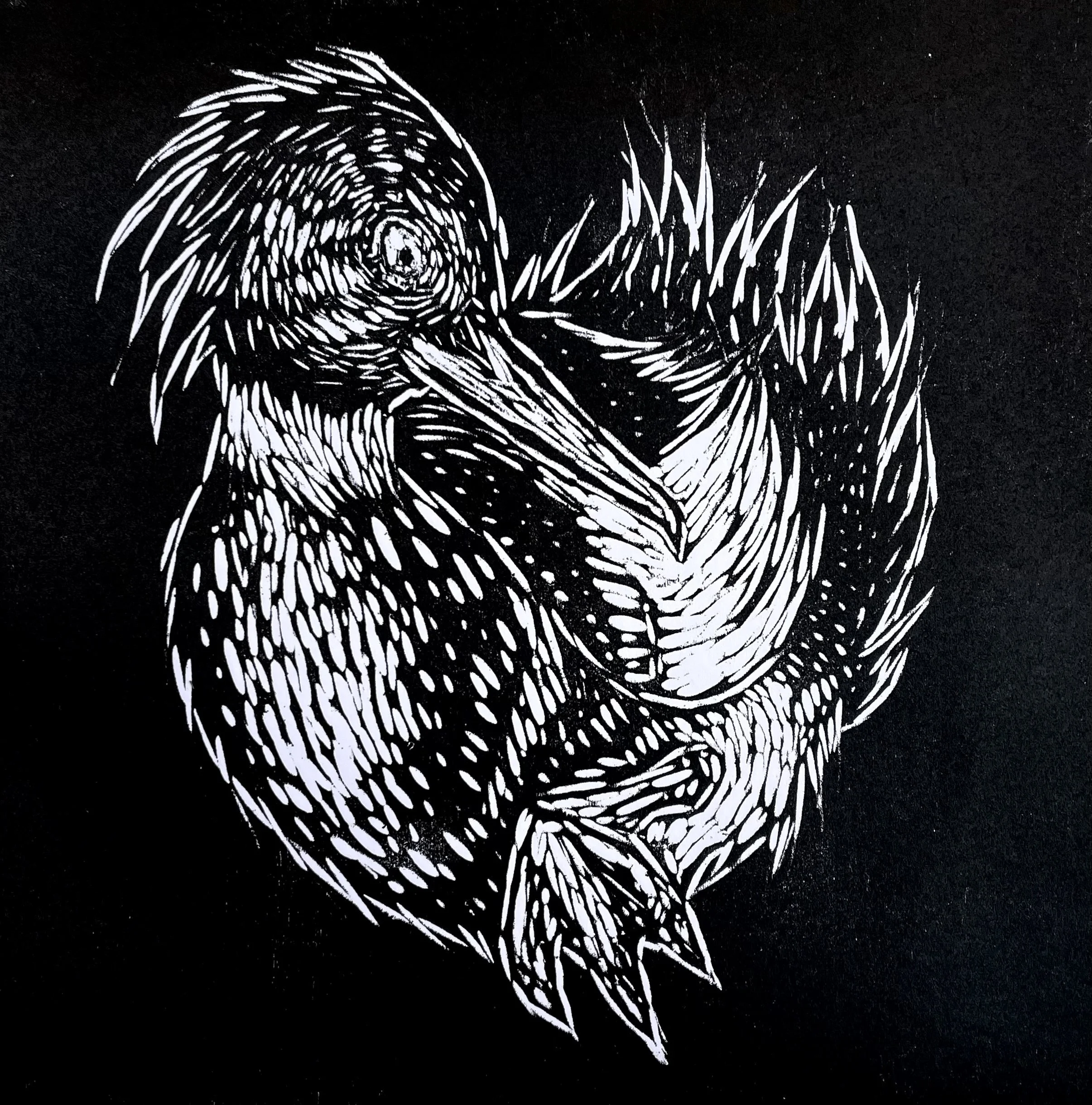  Cover artwork for the Merganser EP released in 2022 by the band Merganser. To listen to and purchase this record:  https://merganserband.bandcamp.com/album/merganser-ep  