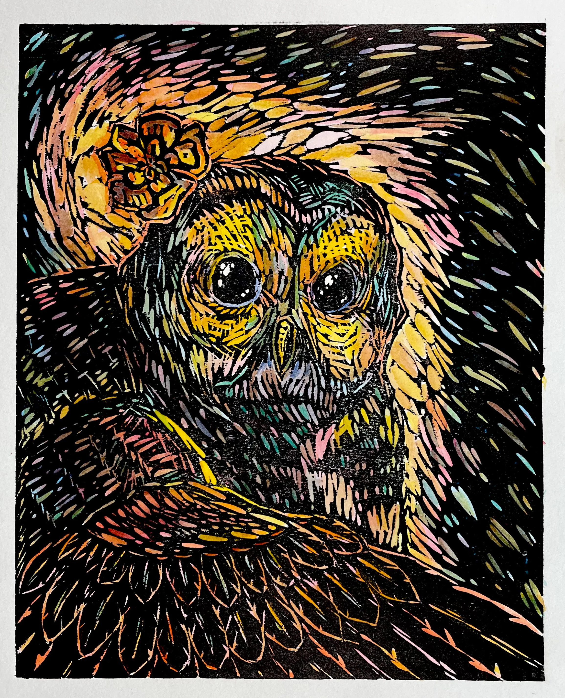 Specter’s marigold