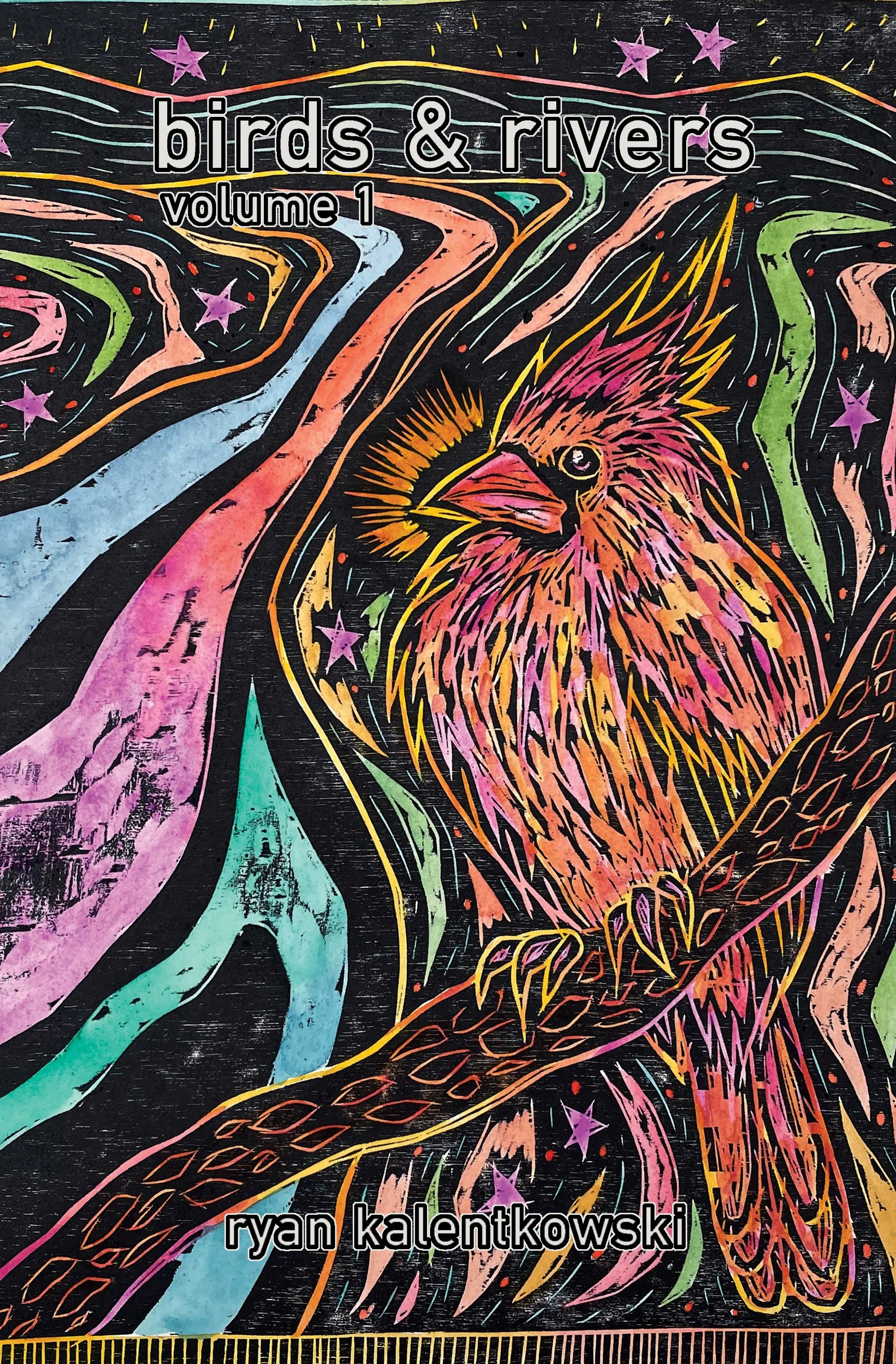  Birds &amp; Rivers Volume 1 front cover, a collection of hand-colored woodcuts from spring 2025 - winter 2026 published in small book format, Sterna Press 2026. 