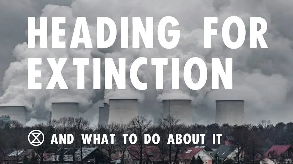 Cedar Lane + XRDC: Heading for Extinction