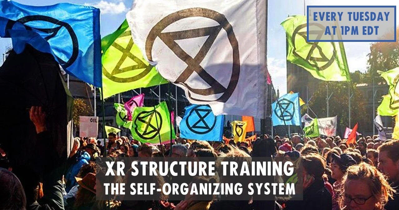 XR Structure Training