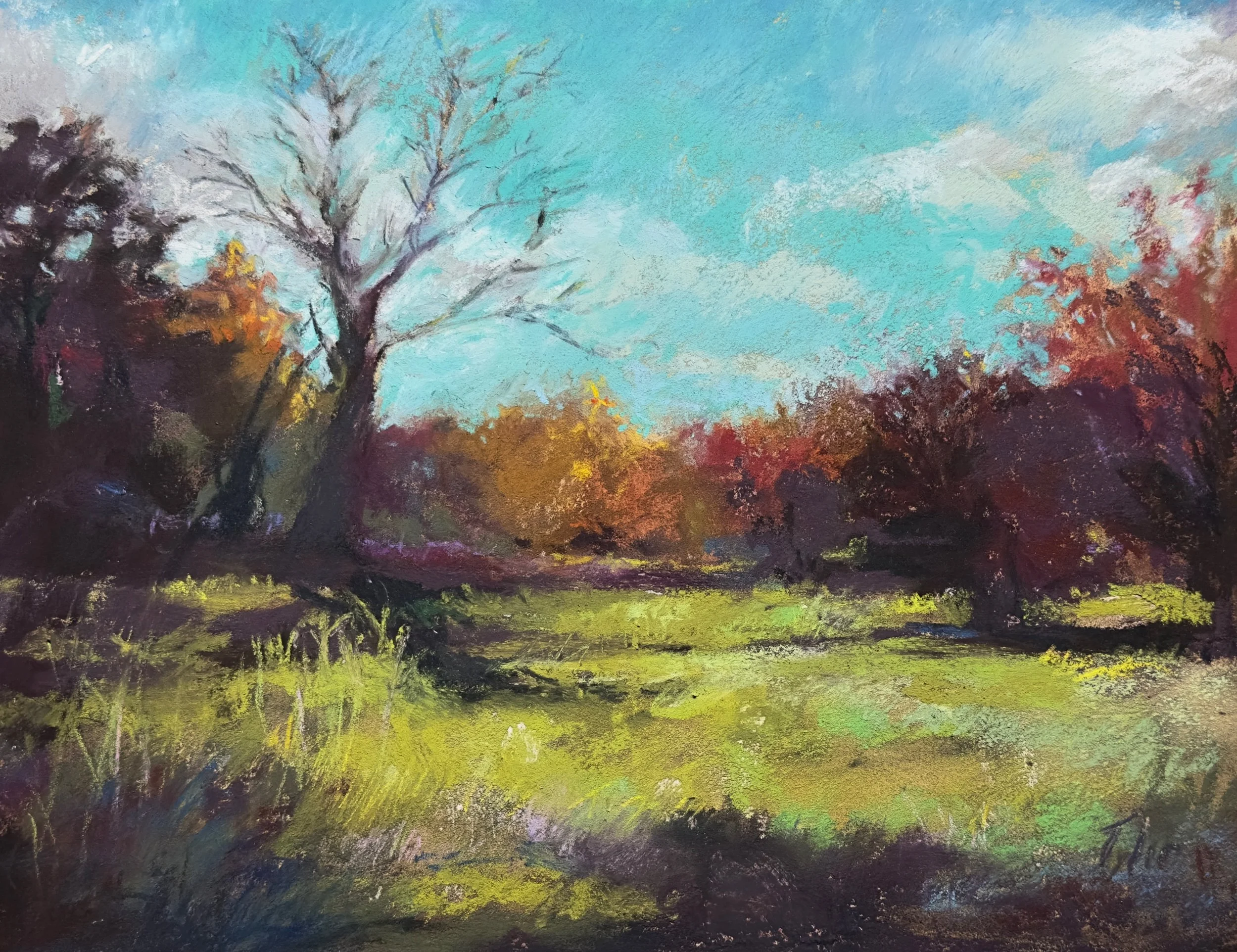 “Autumn Field”  pastel on sanded paper  9” x 12”  $550