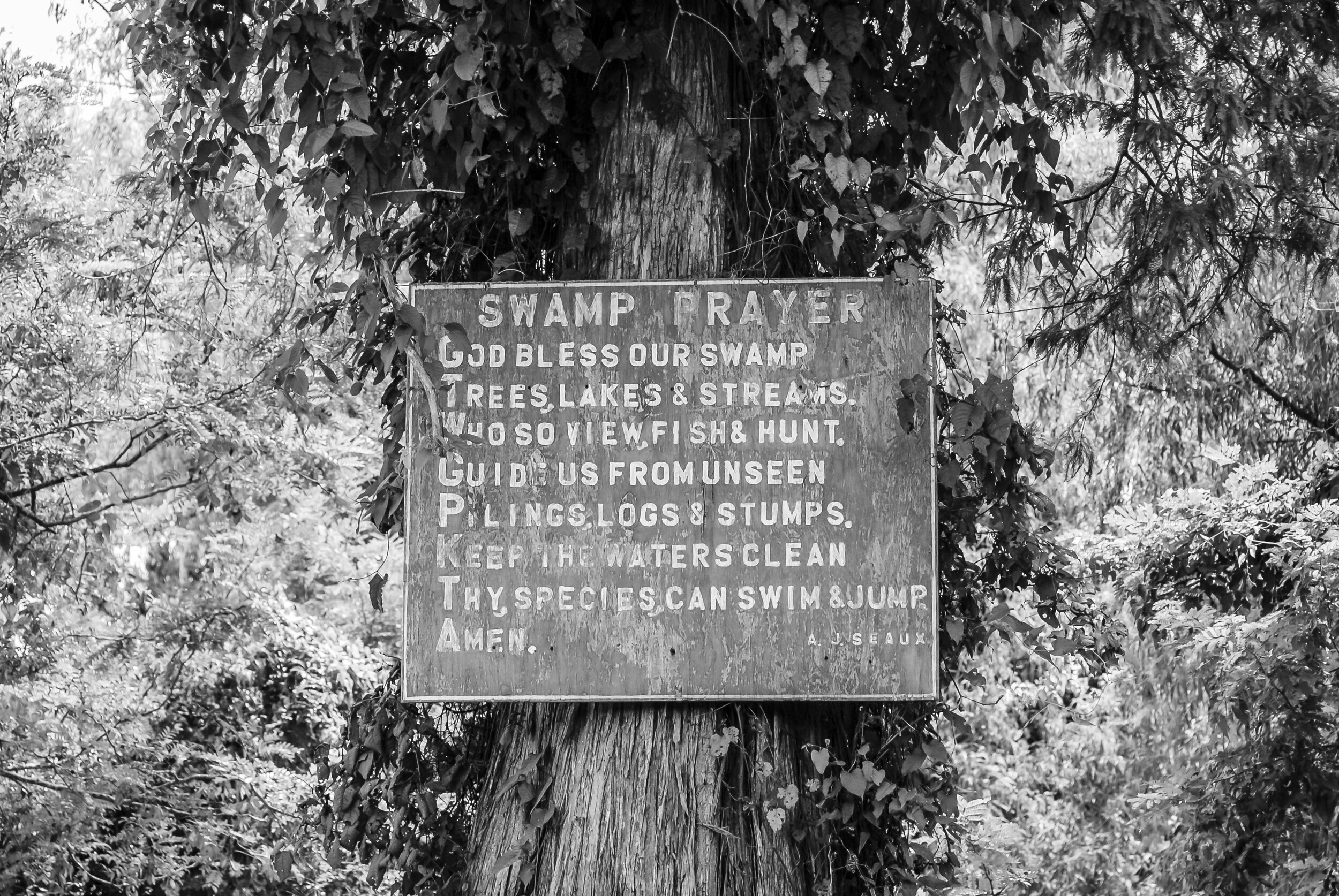 bayou_rt_0008.jpg