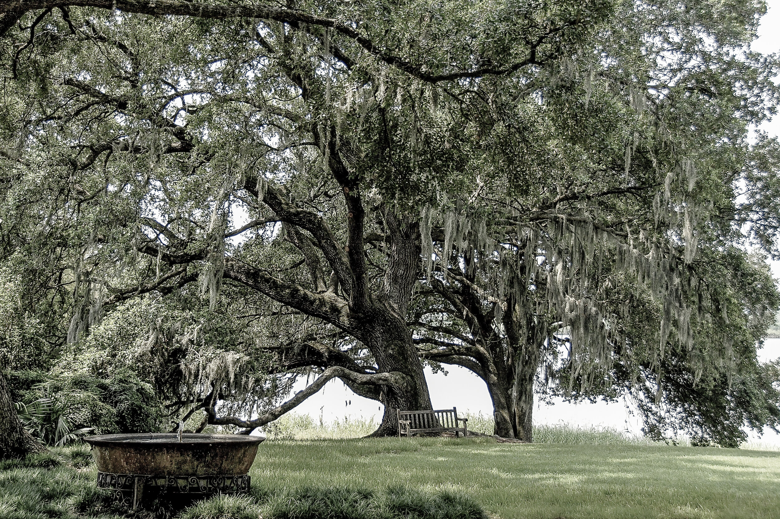 bayou_rt_0010.jpg