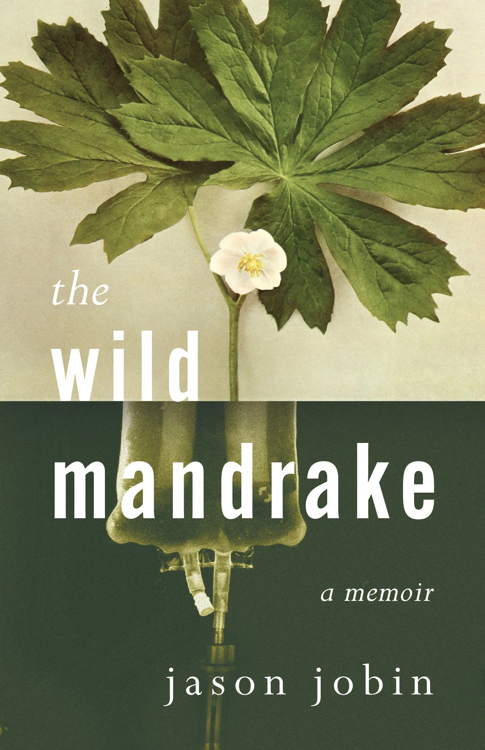 The+Wild+Mandrake+cover.jpg