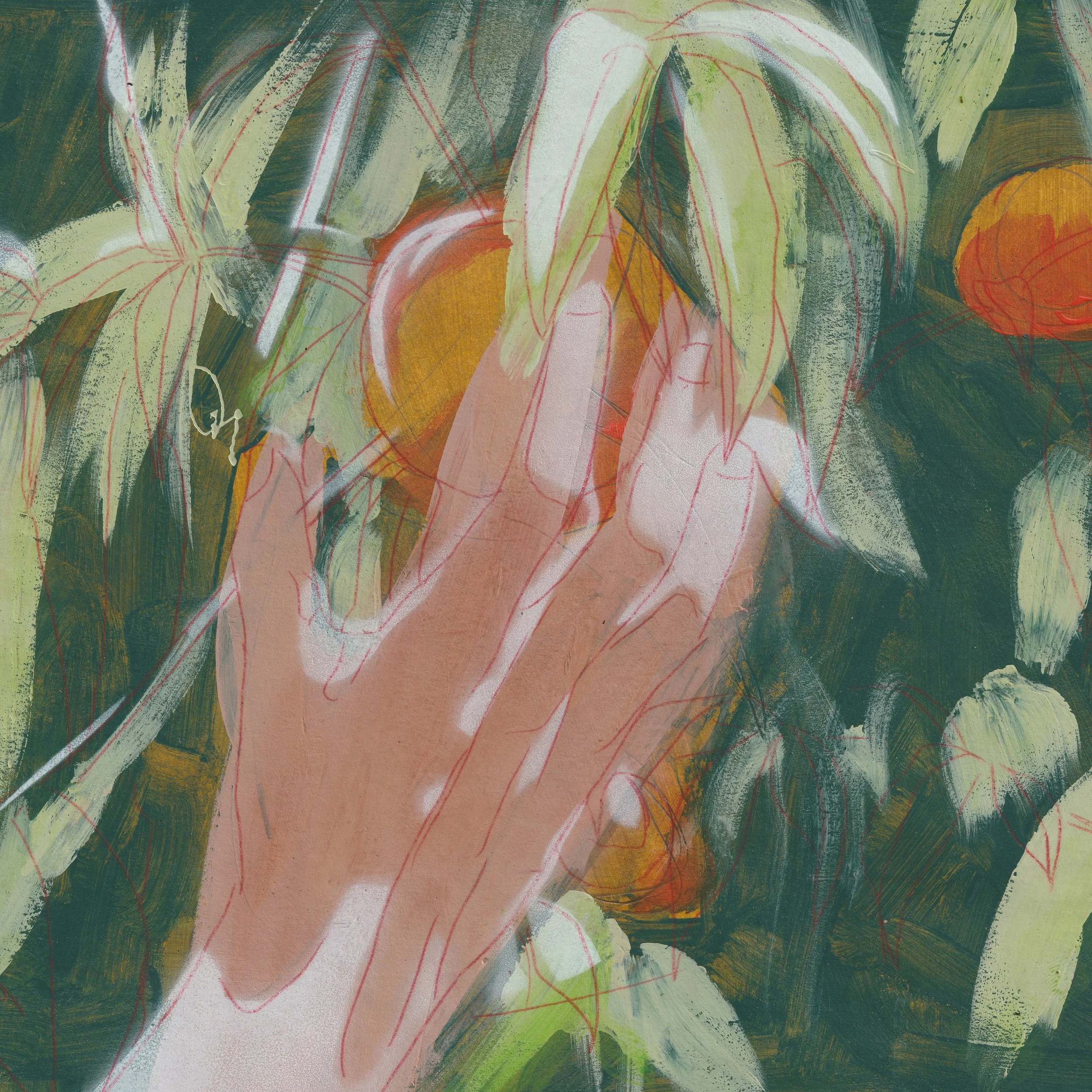 peach red lines detail.jpg