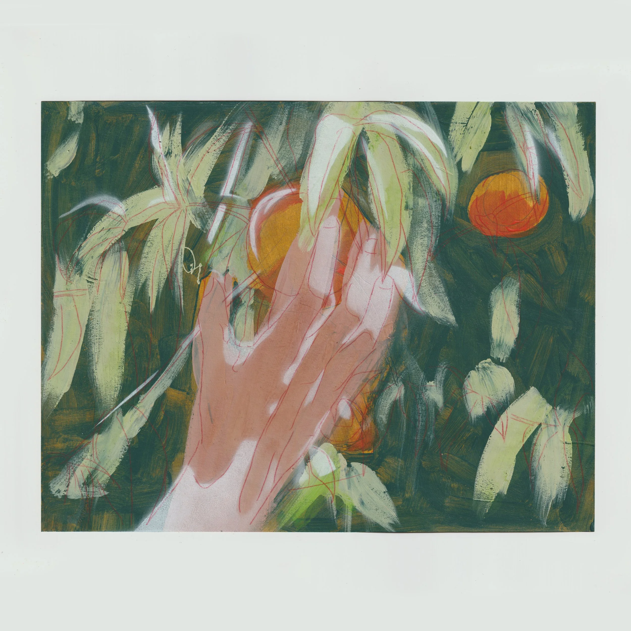 peach grab