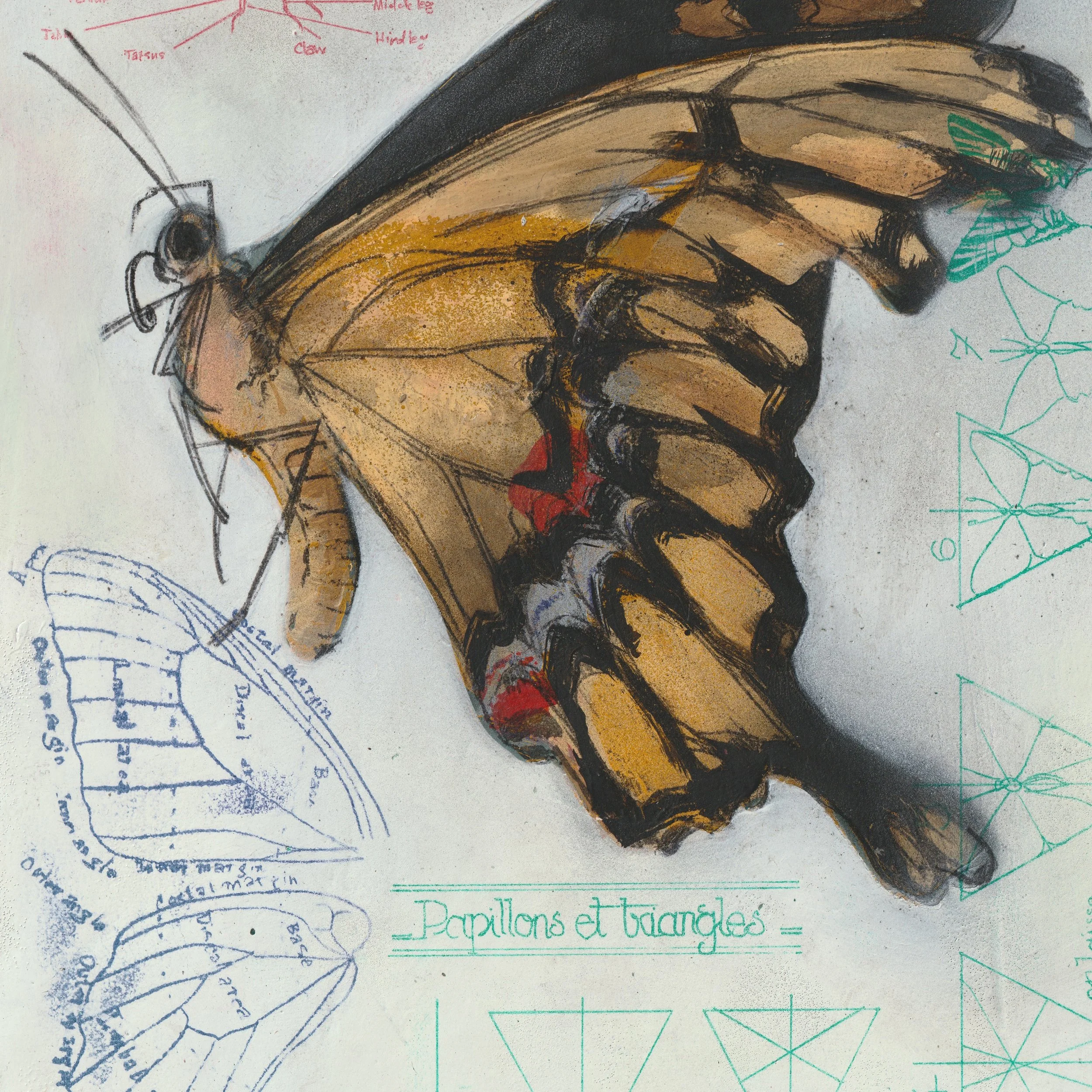 full informational butterfly-detail.jpg