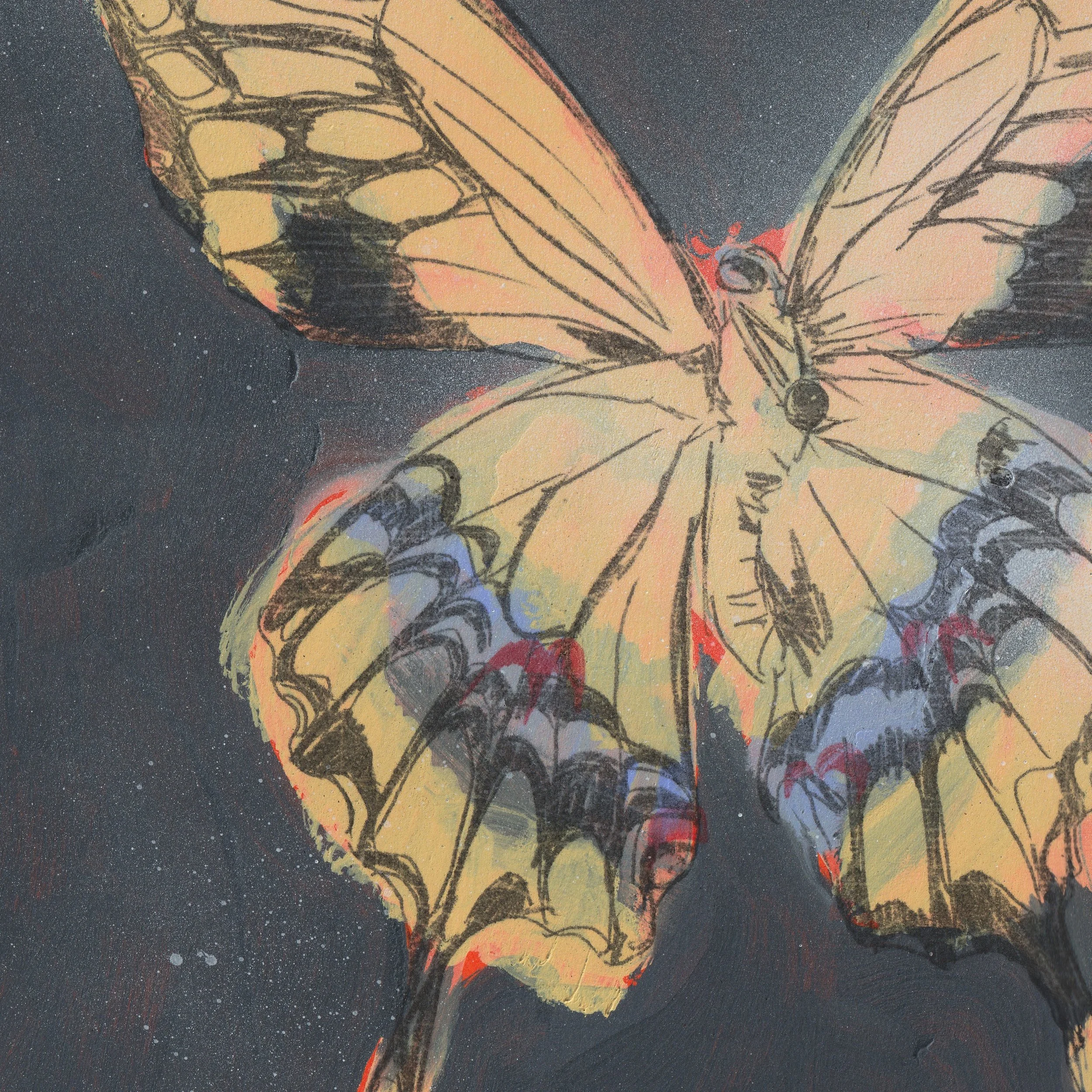 fragile butterfly detail 01.jpg