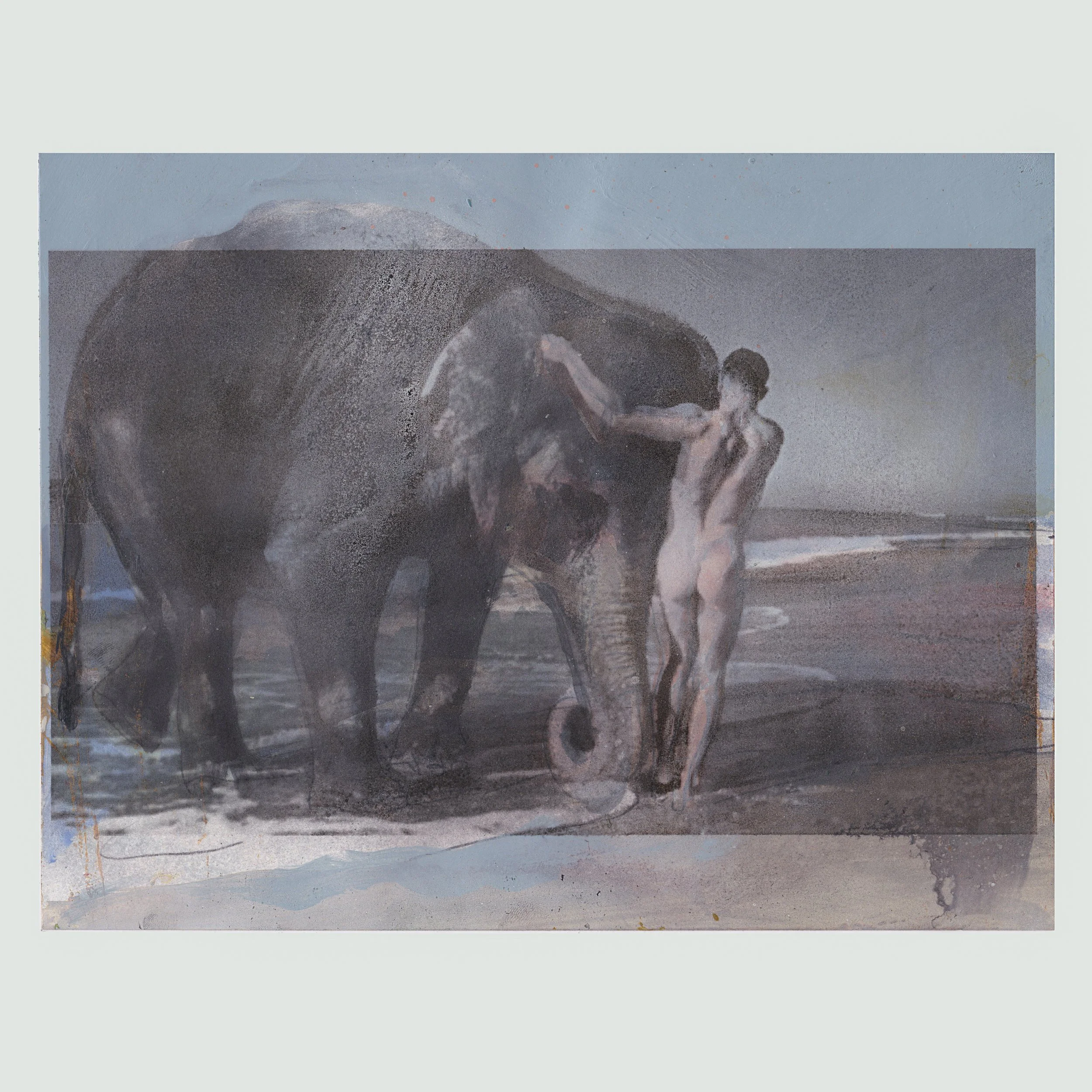 elephant ride