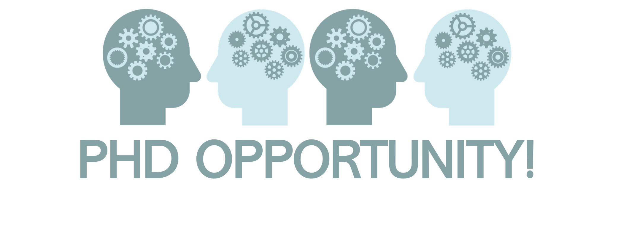 PhD opportunity 2024!