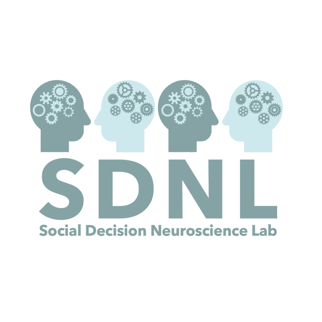 Join the SDNL - New PhD and RA positions! 