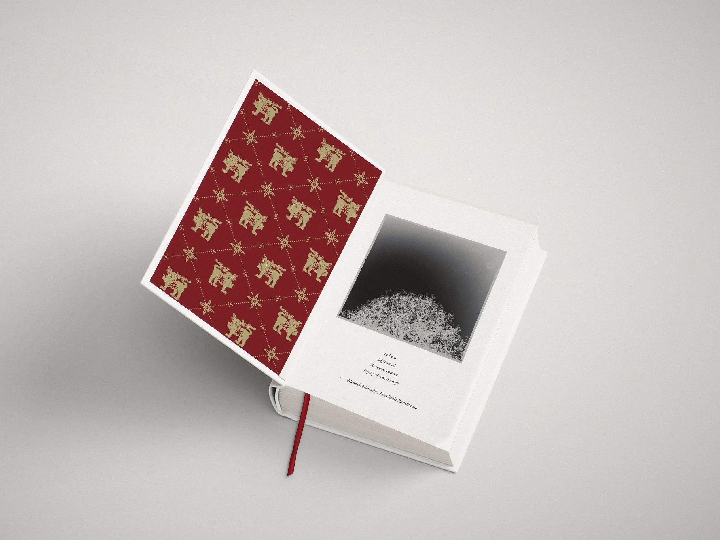 IVOIRE_photo_endpapers.jpg