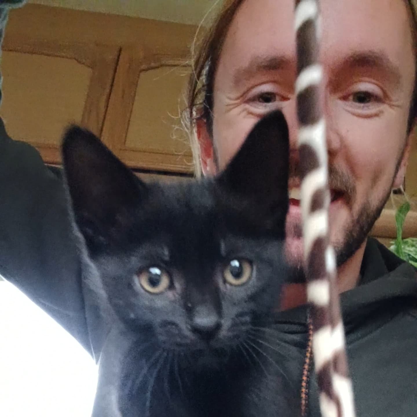 Frank and me are quickly becoming best buds! He's getting to know me more now, and trust me, I've now had him a week on Friday crazy how times flys! He's bringing me so much laughter and happiness, and also the best snugs! I have no doubt he's going 