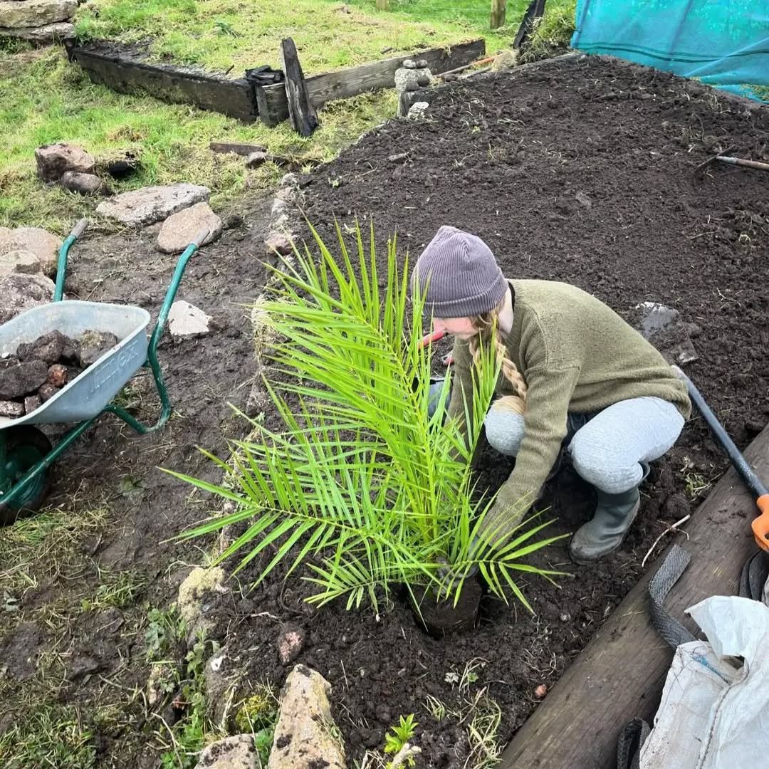 Ever wanted to VOLUNTEER ON THE CORNISH COAST? Do you love animals and enjoy making a positive difference in community projects?
Well!  We have lots of exciting things planned over the next few years that involve sharing our beautiful campsite with t