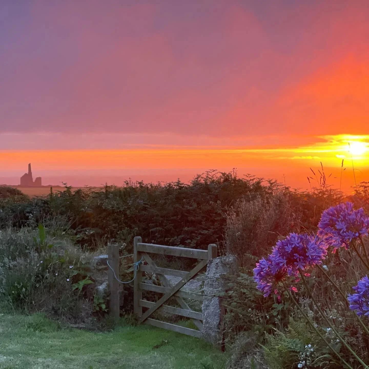 Wow, we really have been blessed with the weather this week at Parknoweth! The whole atmosphere at the camp has been even more chilled and peaceful than usual! It's amazing what a bit of blue sky can do! Okay so yes, it's foggy as I type this, but wo