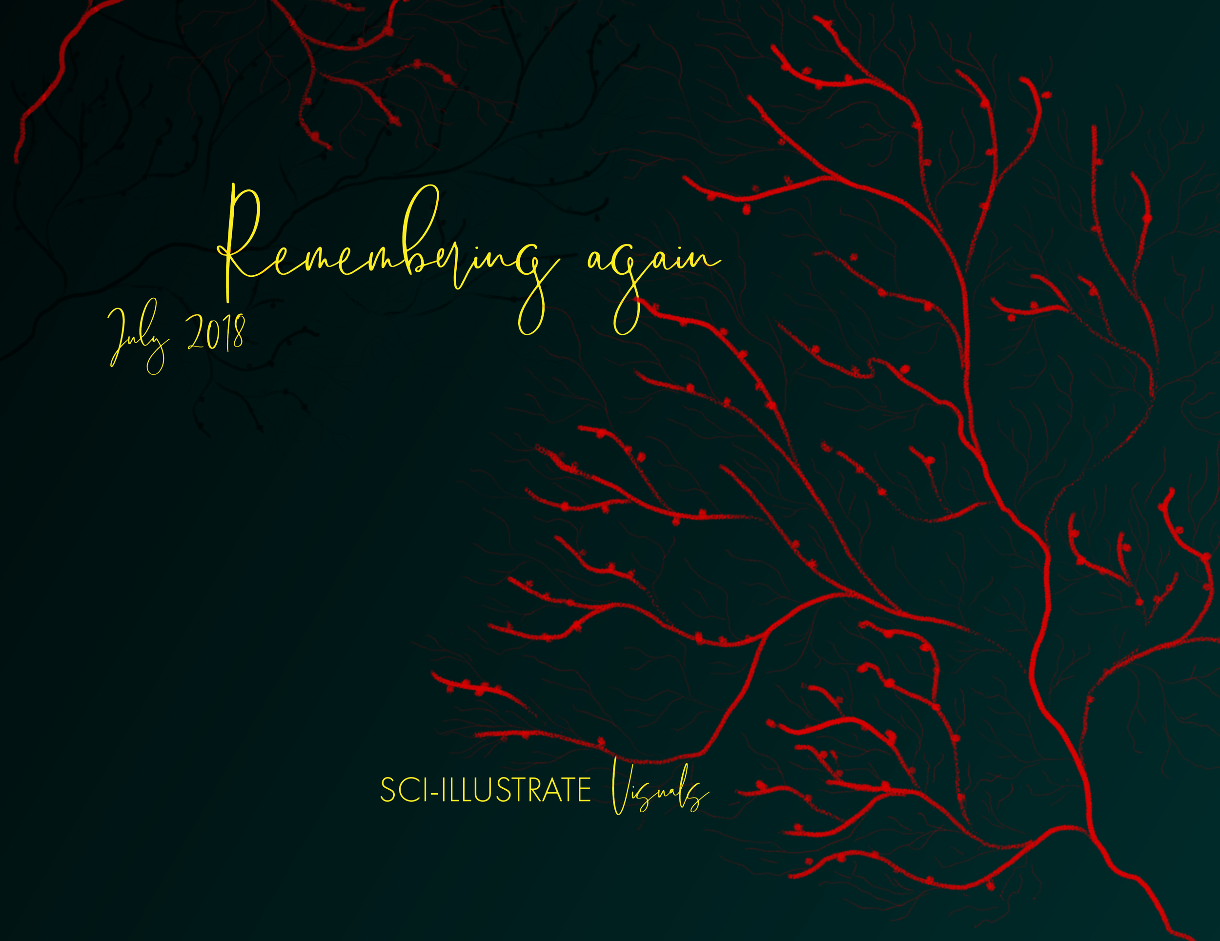 Recahing out_Behance-02.png
