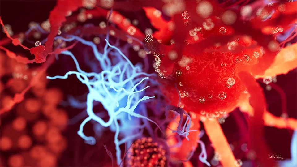 Feelings - beautiful neuron wallpapers — Sci-Illustrate