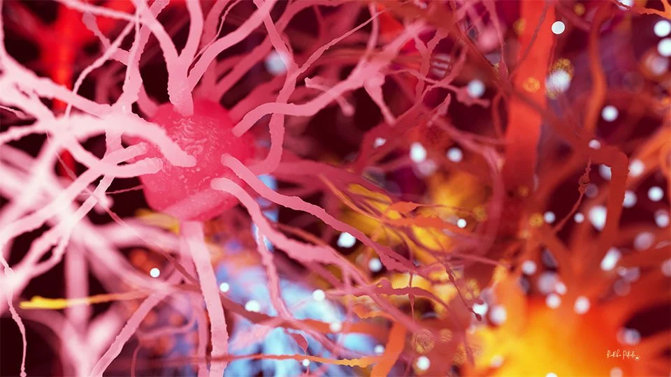 Feelings - beautiful neuron wallpapers — Sci-Illustrate