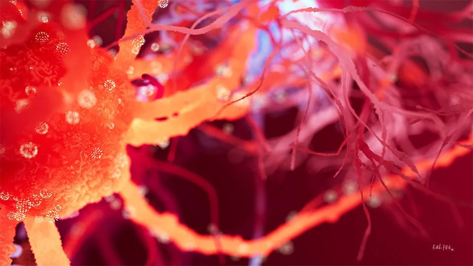 Feelings - beautiful neuron wallpapers — Sci-Illustrate