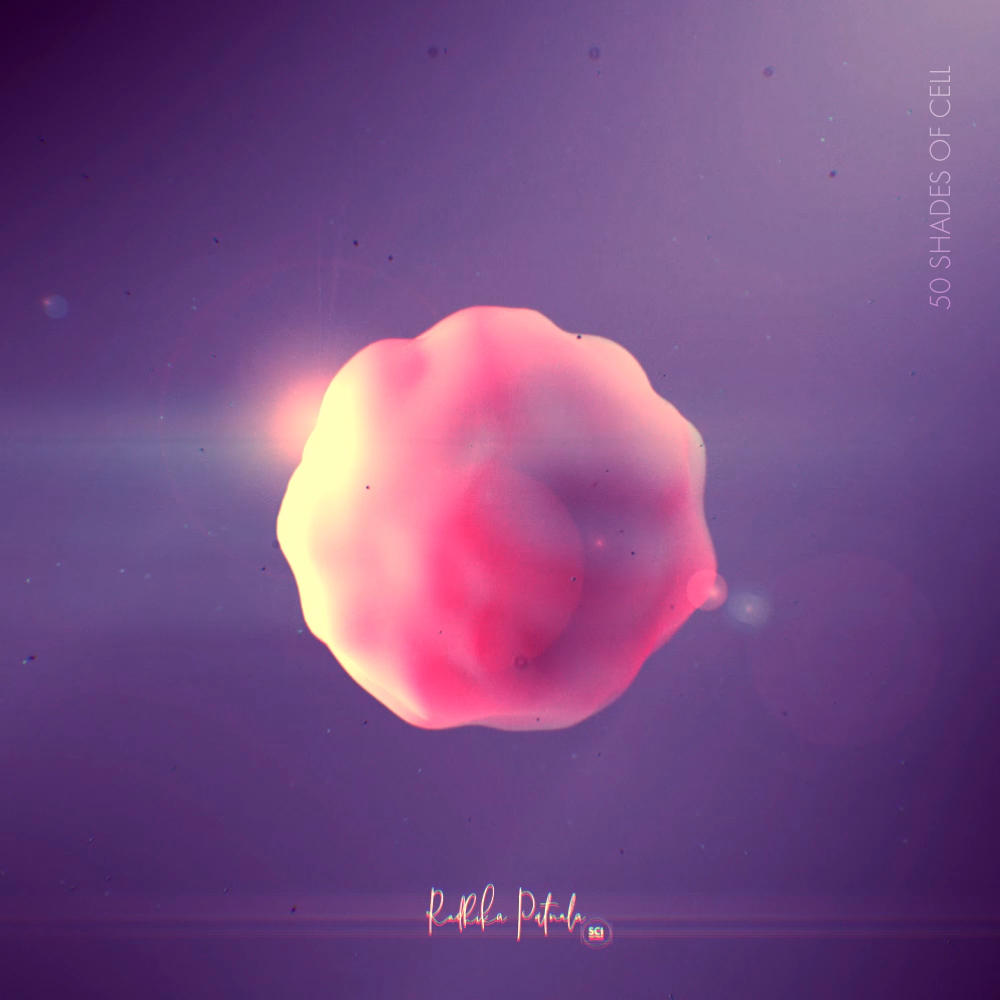 Extracellular Space Explorations — SciIllustrate