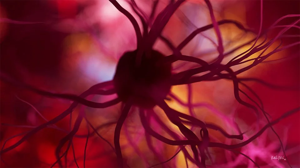 Feelings - beautiful neuron wallpapers — Sci-Illustrate