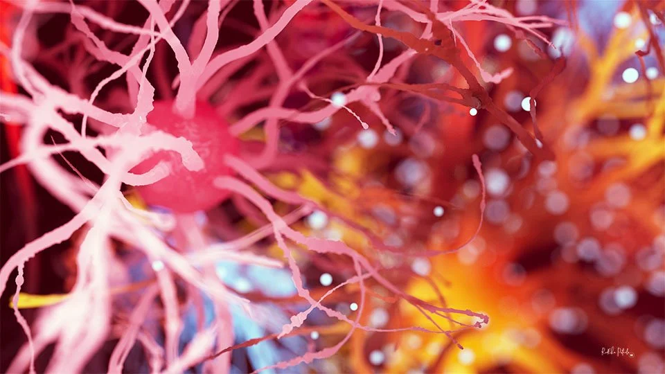 Feelings - beautiful neuron wallpapers — Sci-Illustrate