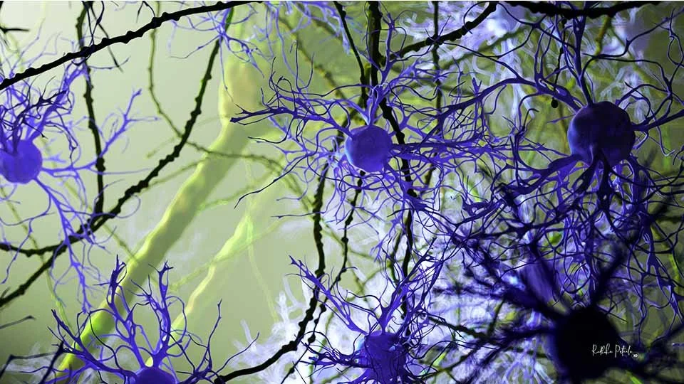 Readhika Patnala Sci-illustrate Microglia Wallpapers (14).jpg
