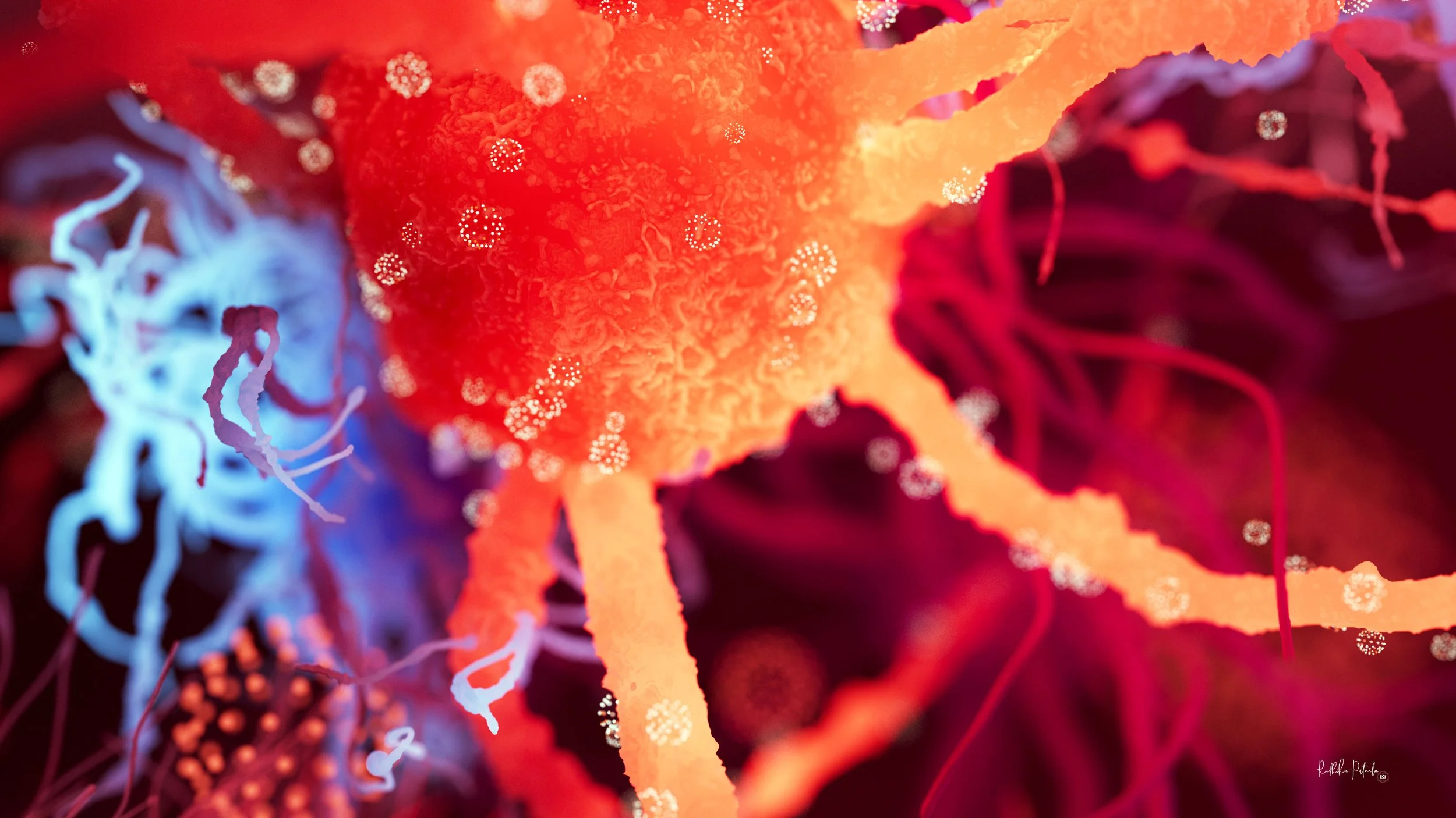 Neurons_red_4K_Sci-Illustrate_Radhika Patnala (2).jpg