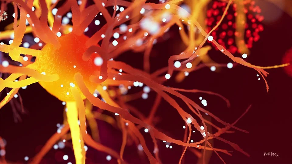 Feelings - beautiful neuron wallpapers — Sci-Illustrate