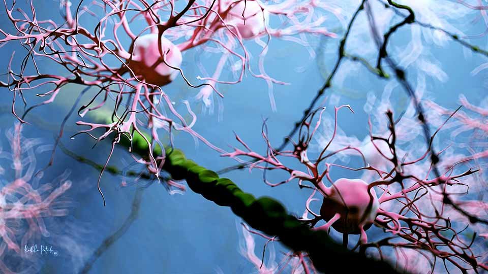 Radhika Patnala Sci-Illustrate_Wallpapers_Microglia in Spring (11).jpg
