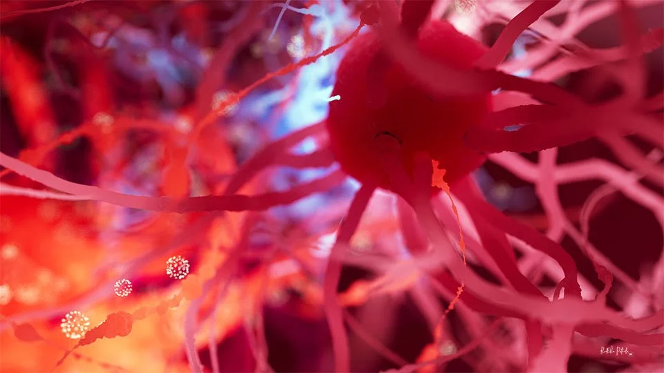 Feelings - beautiful neuron wallpapers — Sci-Illustrate