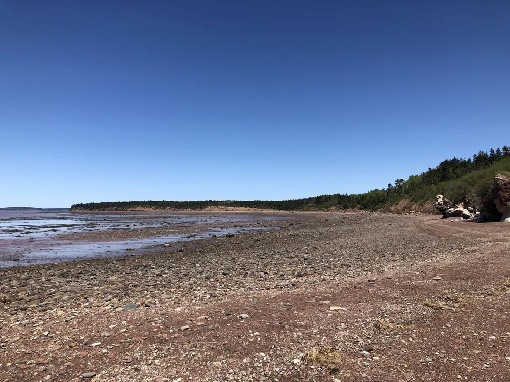 Pink Rock Trail — Greater Dorchester Moving Forward Co-operative