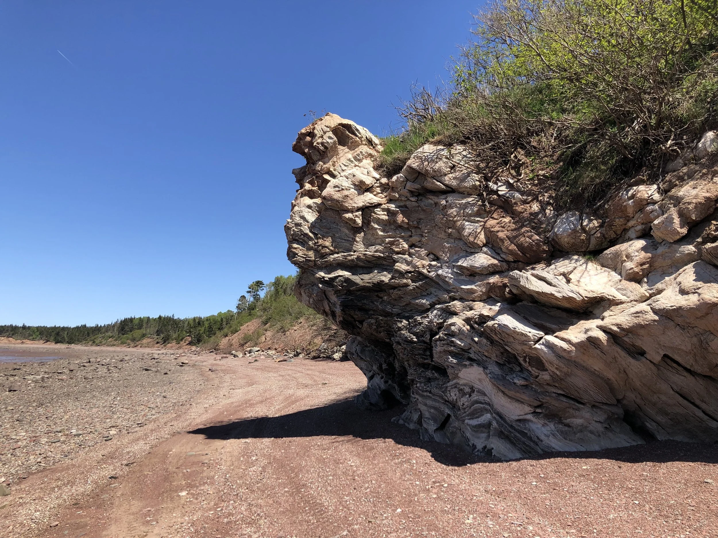 Pink Rock Trail — Greater Dorchester Moving Forward Co-operative