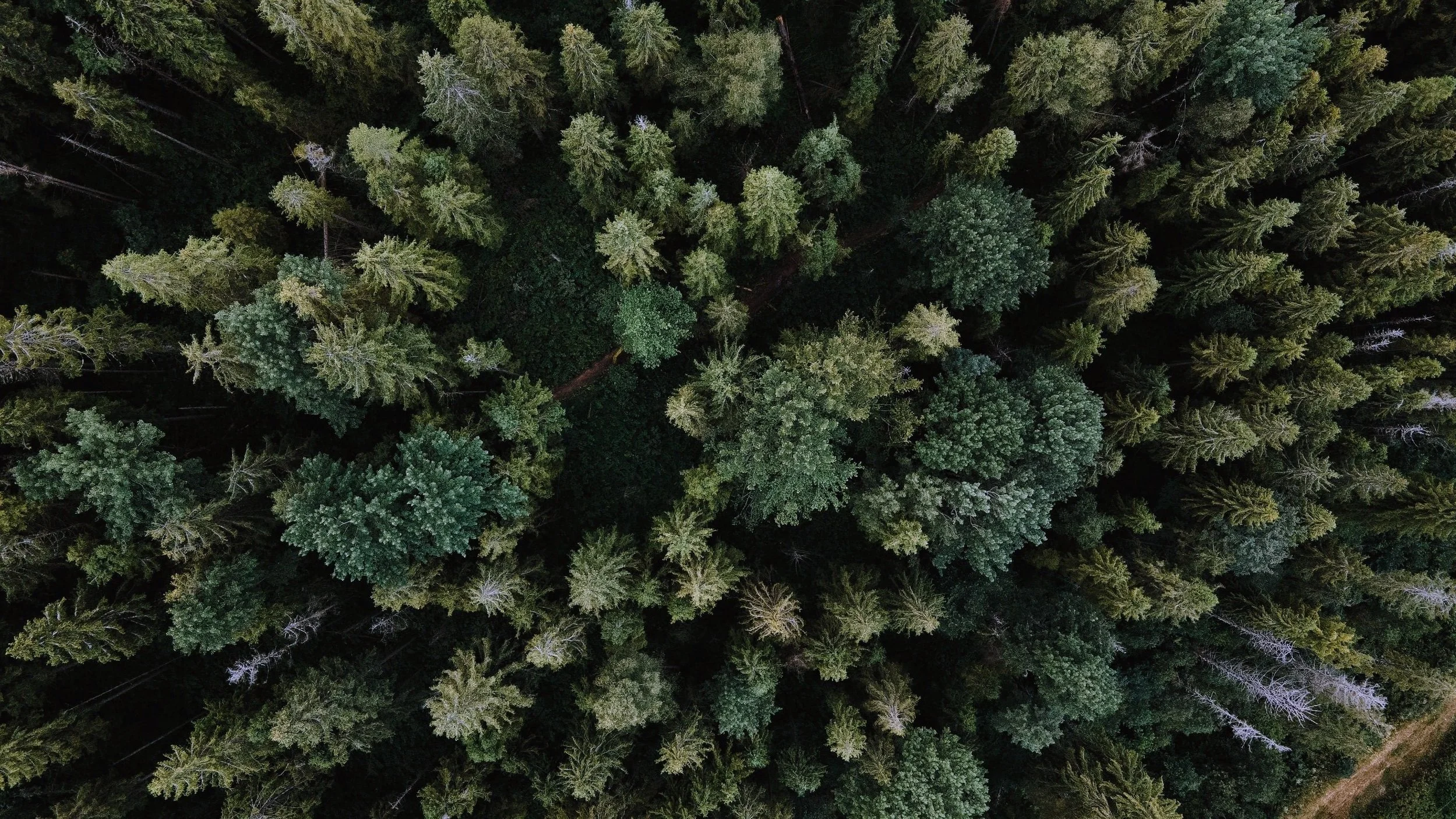 unsplash-image-3BlVILvh9hM.jpg