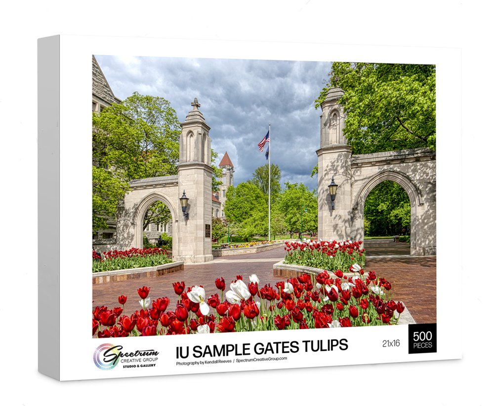 IU-413 Sample Gates Tulips puzzle box