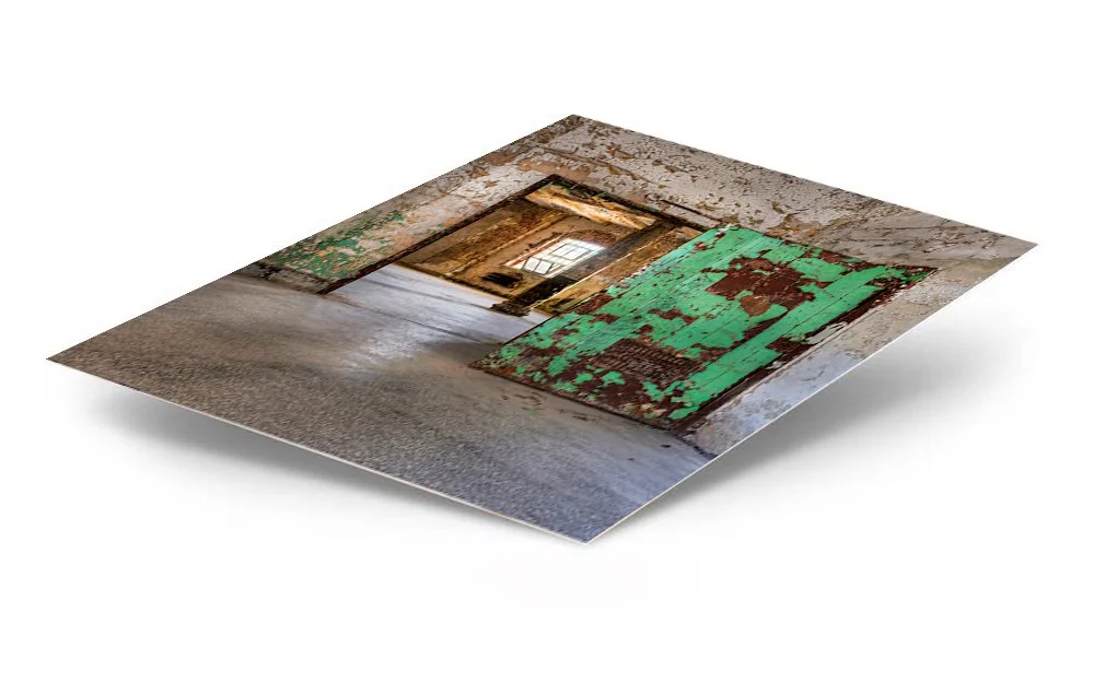 Reformed Green Door ChromaLuxe® Aluminum Metal Print
